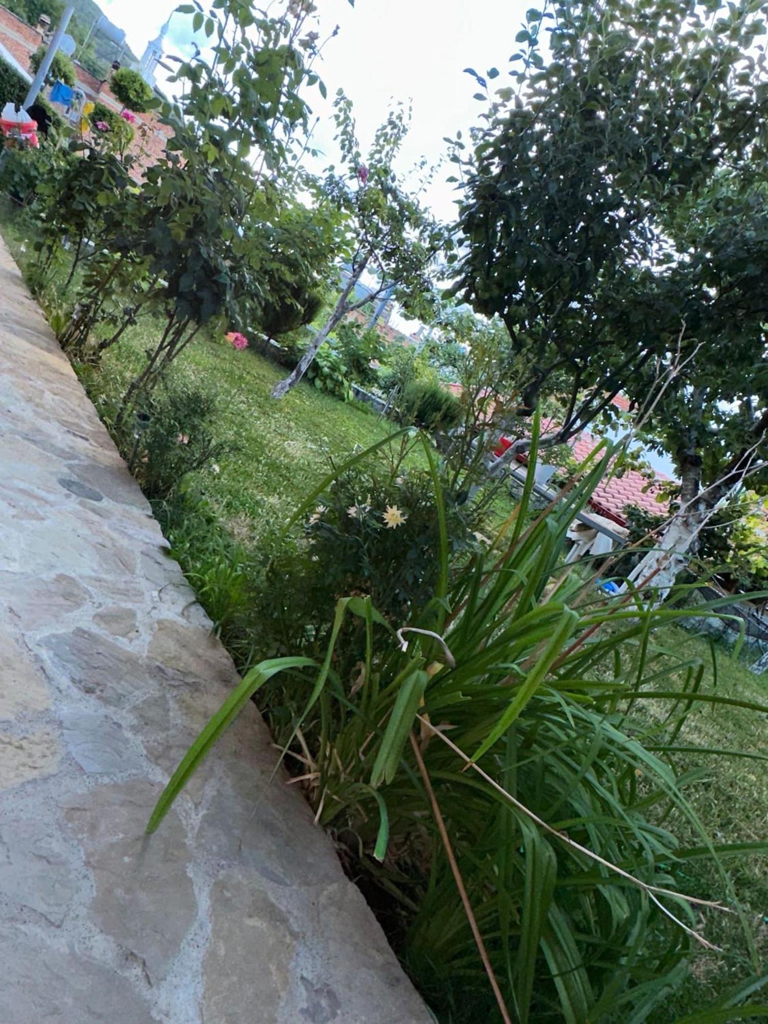 Gardenhouse Villa Memlishte Buitenkant foto