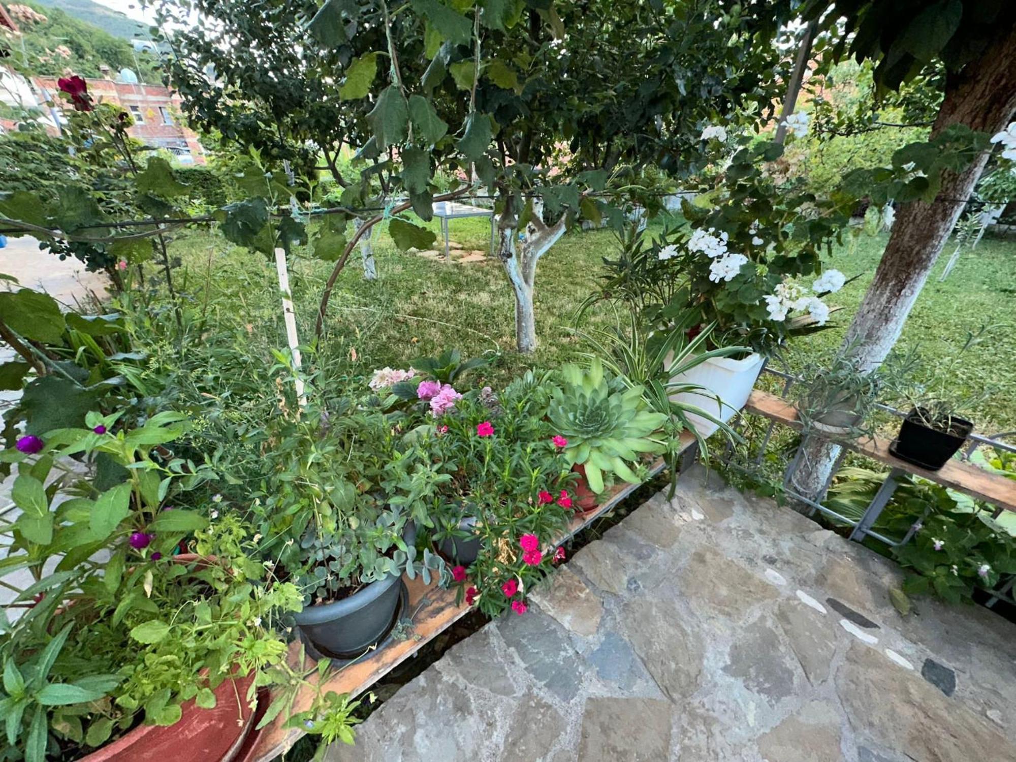 Gardenhouse Villa Memlishte Buitenkant foto
